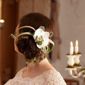 fwthumbHair Design.jpg